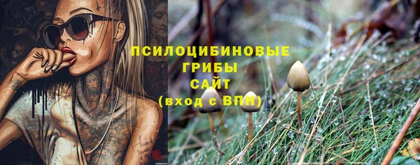героин Алзамай