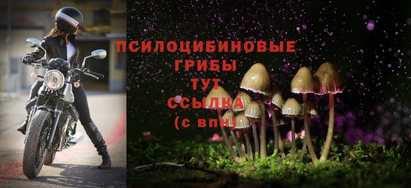 героин Алзамай