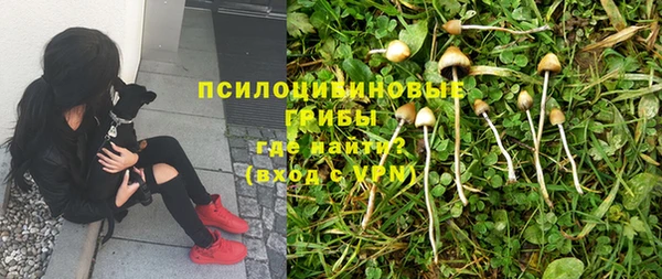 винт Алексин