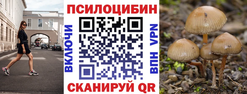 Купить закладки  Городище  Галлюциногенные грибы ЛСД 